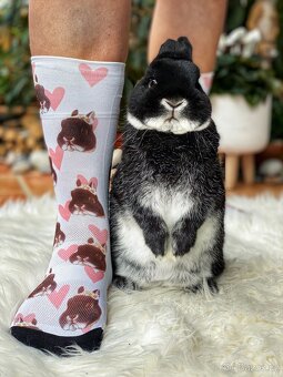 Zakrslý králíček- bílopesíkatý černý s PP - 7