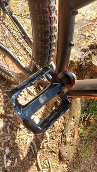 Silverback Sola1 - 7