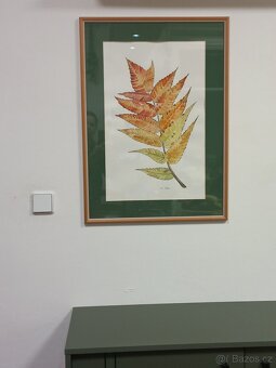 Obraz akvarel II - 7