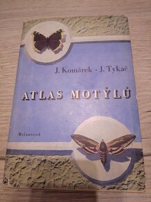 Motýli, pavouci - 7