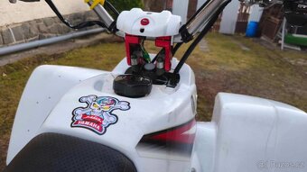 Yamaha YFS blaster 200 - 7