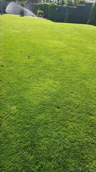aerifikátor, regenerace, top dresing, pískování trávy - 7