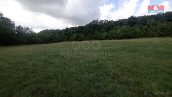 Prodej louky, 12373 m², Jenčice - 7