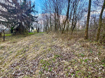 Pozemku/zahrady 372 m² kousek od Brna - 7