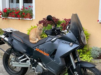 KTM Adventure 990 EFI - 7