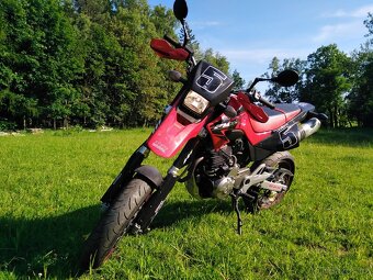 Honda FMX 650 - 7