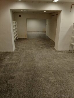 Pronájem exkluzivní prodejny - 7