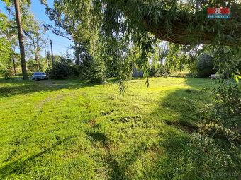 Prodej zahrady, 719 m², Město Albrechtice - 7