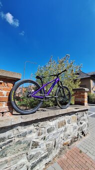 CTM Dirtking expert 2025 - 7