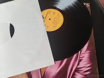 Julio Iglesias Hvězdná Noc LP Vinyl + Rod Stewart g.t hits - 7