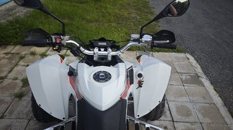 Čtyřkolka Access Warrior 450 - 7