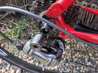 Bianchi Barloword 928 - 7