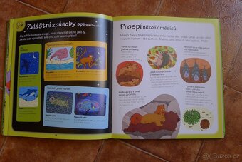 Malá encyklopedie rekordů - 7