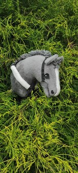 Hobby horse - 7