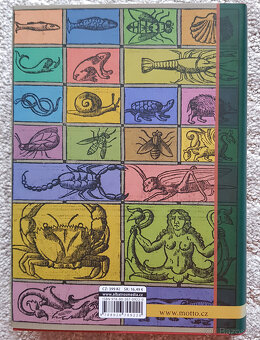 Kuchařka ze Svatojánu 2x a Rok ve Svatojánu - 7