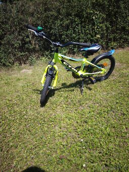 Ctm Foxy 16" - 7