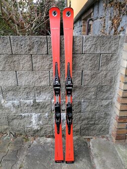 BLIZZARD Thunderbird R18 LTD 170cm. Model 2023/2024 - 7