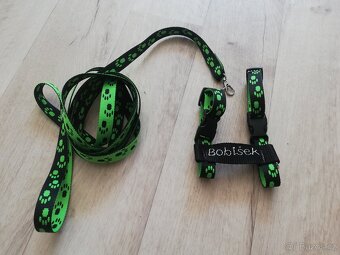 kšírky se jménem králík - 7