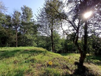 Výjimečný pozemek 8.483 m2 v oblasti Kokořínska s hotovým pr - 7