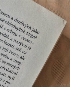 Jméno růže - 7