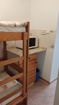 Pronájem Apartmánů Vranov nad Dyjí - 7
