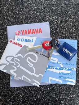 Yamaha MT-07 - 7