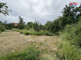 Prodej zahrady v Buškovicích u Podbořan - 7