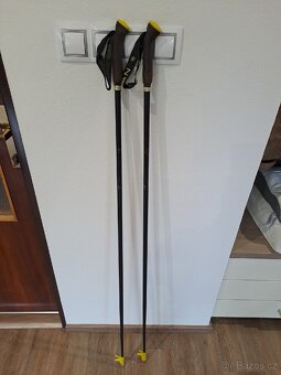 Běžecké hůlky AXON, JESAN - 7