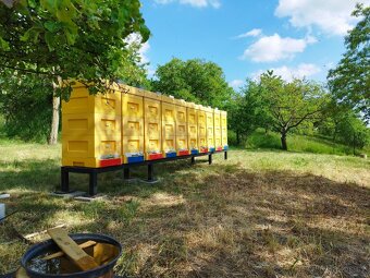 Včelí oddělky 2026 + dovoz - 7