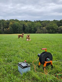 Coursing naviják + příslušenství - 7
