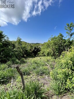 Isery Main Road, Roatan - 7