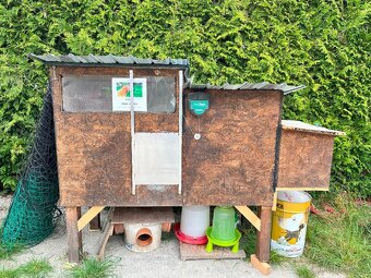 Kompletně vybavený kurník pro 5–6 slepic – připravený k použ - 7