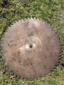 Kolébkobá cirkulárka - 7