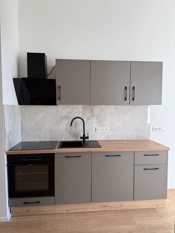 Pronájem nového bytu 1+kk se spacím koutem, terasou, zahrado - 7