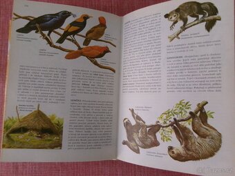 Od agamy po žraloka: Velký ilustrovaný slovník... - 7