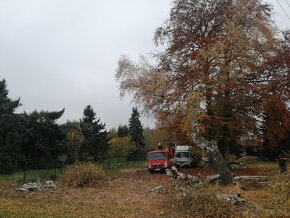 Prorezat či pokacet. - 7