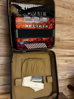 Akordeon Delicia Junior - 7