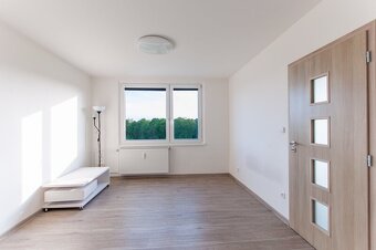 Pronájem 1+1, Zvonková, Trutnov - Horní Staré Město - 7
