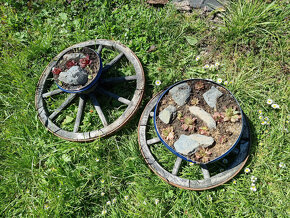 10ks kovové poklice ø25 cm jako miska pro sukulenty - 7