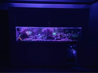 Mořské akvárium 550l plus filtrace- prodám - 7