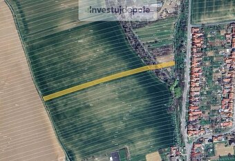 Prodej pole v k.ú. Kostelec u Kyjova, Hýsly a Moravany u Kyj - 7