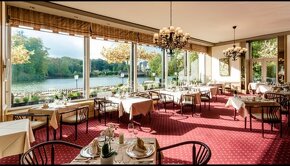 80x židle do restaurace křeslo polokřeslo z masivu - 7