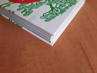 Šinrin-joku japonské umění lesní terapie - 7