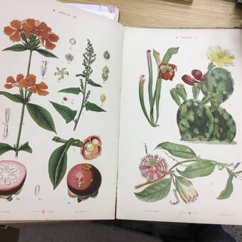 Vice nez 4000 knih - 7