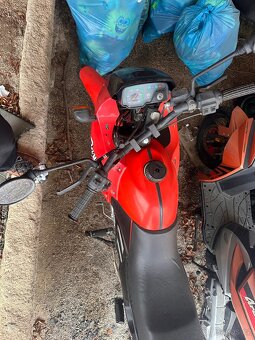 Jawa Dandy 125 ccm2 - 7