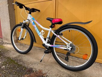 Superior Paint 24 dětské kolo s páčkovým řazením - 7