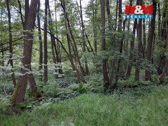 Prodej louky, 19732 m², Oselce - 7