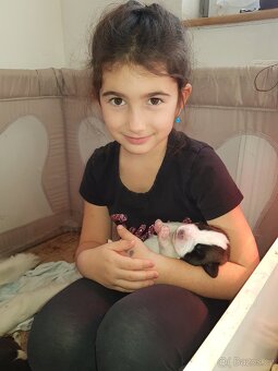 Bernardýni s PP - 7