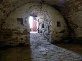 Pronajmu vinný sklep v Břežanech u Znojma - 7