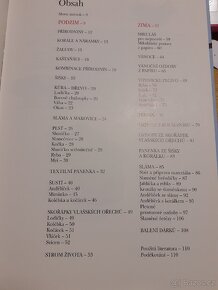 knihy vánoční tvoření - 7